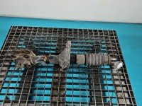 Amortyzator przód prawy przedni Kia Sportage II 04-10