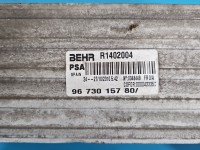 Intercooler Peugeot 5008 9673015780 2.0 HDI