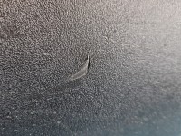 Schowek pasażera Opel Combo D EUROPA 735471272