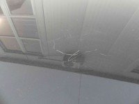 Dach Porsche Panamera I 970 HB 5d