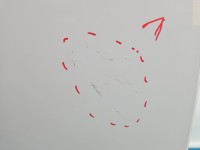 Drzwi tył prawe Skoda Fabia II kombi 5d LF9E