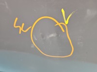 DRZWI PRZÓD PRAWE PASAŻERA Cupra Formentor 5d LS7G