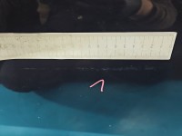 DRZWI PRZÓD PRAWE PASAŻERA Fiat Tipo II 15- 4d 718