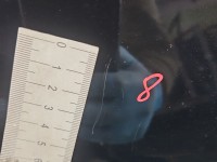 Błotnik przód prawy Nissan X-trail III T32 13-21 czarny G41