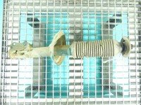 Amortyzator przód lewy przedni Vw Passat B4