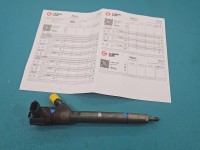 Wtryskiwacz Hyundai Ix35 09-13 0445110374, 33800-2F300 2.0 crdi 4wd (D4ha)