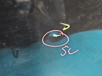 Drzwi tył lewe Renault Megane III kombi 5d Tegne