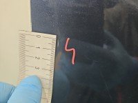 DRZWI PRZÓD PRAWE PASAŻERA Saab 9-3 II 4d stalowy