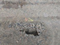 Wygłuszenie maski PODBITKA Kia Sportage II 04-10