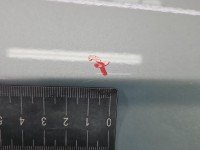 DRZWI PRZÓD PRAWE PASAŻERA Hyundai Getz 5d srebrny