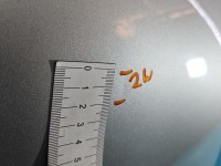 DRZWI PRZÓD PRAWE PASAŻERA Subaru Legacy IV 5d srebrny