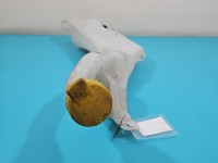 Zbiornik Zbiorniczek płynu spryskiwacza Renault Megane IV