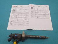 Wtryskiwacz Citroen C4 Grand picasso I 06-13 0445110297 1.6 HDi
