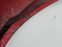 Błotnik przód lewy Audi A4 B7 czerwony LY3J