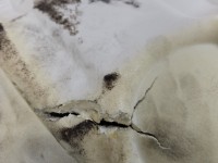 Wykładzina DYWAN PODŁOGA Renault Trafic III 749025620R