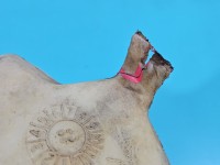 Zbiornik Zbiorniczek płynu spryskiwacza Jeep Cherokee XJ