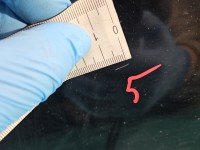 DRZWI PRZÓD LEWE KIEROWCY Skoda Karoq 5d czarny LF9R-1Z1Z