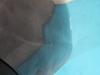 Zderzak tył Hyundai I30 III 16- niebieski YG7 kombi