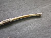 Resor tył Renault Master II