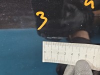 DRZWI PRZÓD PRAWE PASAŻERA Vw Passat B7 5d LC9X