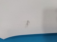 Podsufitka Skoda Octavia III kombi 195056420-01