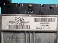 Komputer Sterownik silnika 9654131380, 21584840-4 Peugeot 407 1,8.0 16V