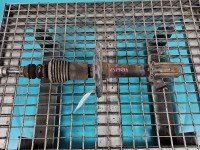 Amortyzator przód lewy przedni Dacia Sandero II 12-20