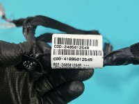 Wiązka instalacja Europejska Dacia Duster III 24- 240501254R, 4189501254R