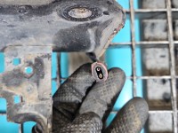 Amortyzator przód lewy przedni Opel Insignia A