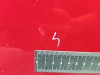 DRZWI PRZÓD LEWE KIEROWCY Honda Jazz II 5d czerwony