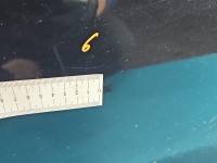 Drzwi tył prawe Ford Focus Mk3 kombi 5d czarny, FB