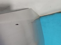Zderzak przód przedni Fiat Punto II srebrny