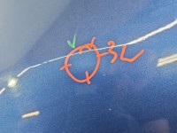 Błotnik przód lewy Dacia Logan II 12-20 TERPK