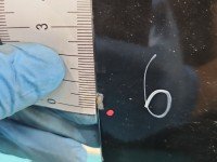 DRZWI PRZÓD LEWE KIEROWCY Peugeot 508 I 5d czarny KDM