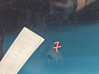 Drzwi tył prawe Opel Vectra C sedan 5d