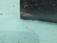 DRZWI PRZÓD LEWE KIEROWCY Opel Zafira A 5d