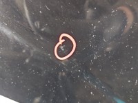 Drzwi tył prawe Opel Antara HB 5d 19U