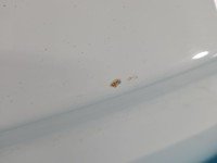 Klapa tył Dacia Sandero III 20- HB 5d biały, DV369