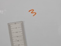 DRZWI PRZÓD PRAWE PASAŻERA Ford S-max II MK2 5d biały 5F