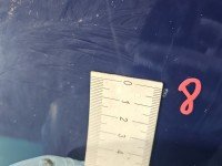 DRZWI PRZÓD PRAWE PASAŻERA Opel Astra IV J 5d Z20Z