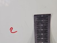 DRZWI PRZÓD PRAWE PASAŻERA Johnston c40 zamiatarka 5d