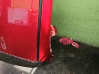 Dach Mazda CX-5 I 12-17 HB 5d