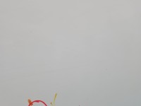 Drzwi tył lewe Seat Ibiza IV 6J HB 5d LB9A