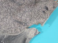 Nadkole przód prawe Volvo V90