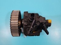 Pompa wtryskowa Citroen C5 I 0445010046, 0281002493 2.0 hdi