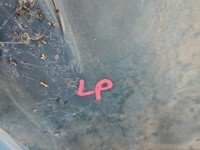 Nadkole przód lewe Toyota Auris I