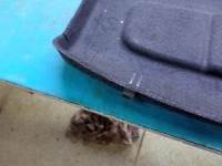 Półka tylna tył bagażnika Nissan Micra K13