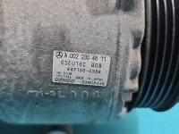 Sprężarka klimatyzacji kompresor Mercedes W169 A0022304811