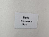 Drzwi przód lewe Renault Scenic II 5d stalowy