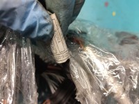 InstalacJa Wiązka silnika UEE1-E-50108216-000 2.0d JAGUAR XF II X260